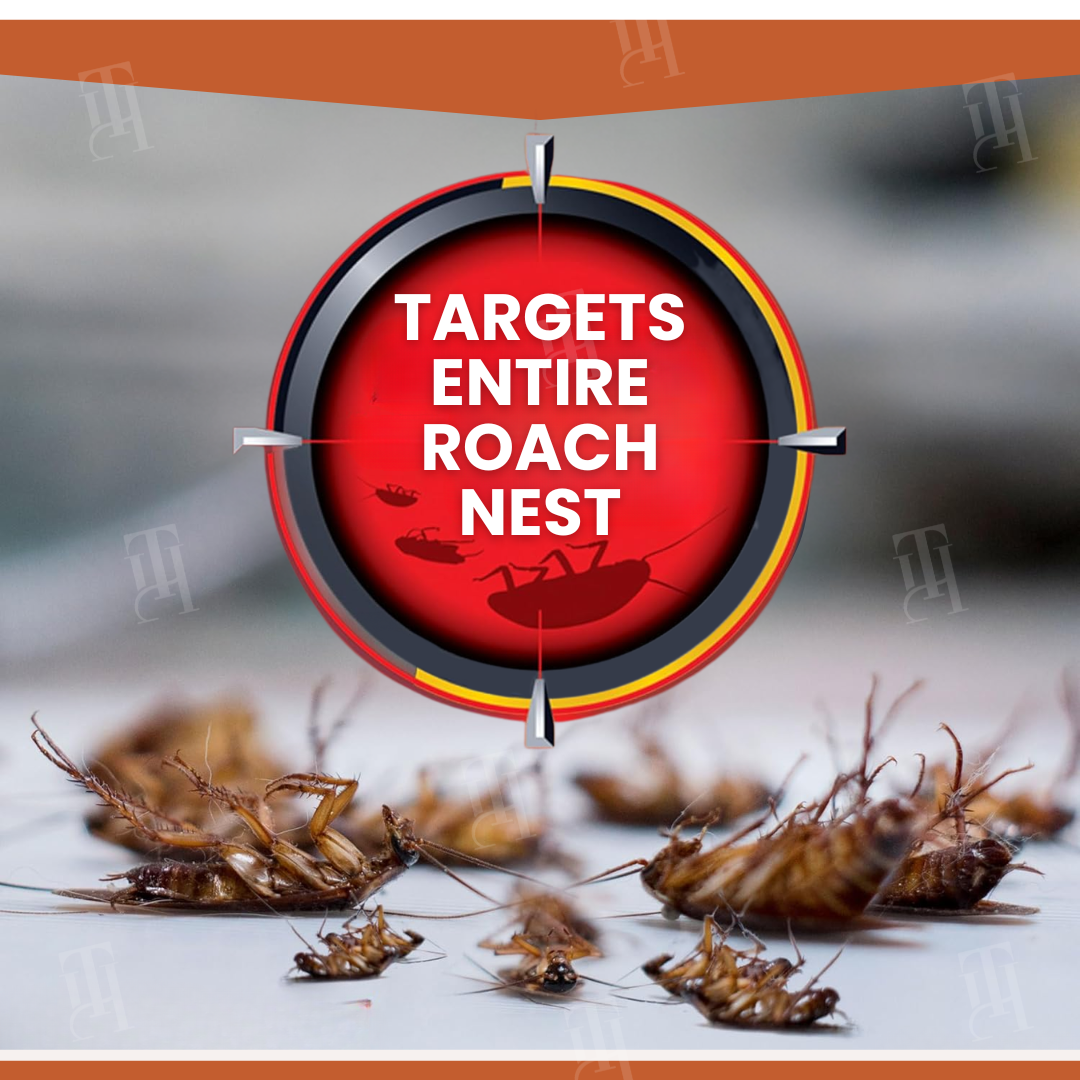 AEXZR® RoachBane Gel Bait🛡️🛡️ – La défense silencieuse et continue de votre maison contre les envahisseurs, 24h/24