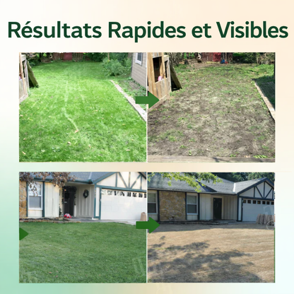 AEXZR® 2 in 1 Herbicide Ultra-Puissant🔥 Votre jardin mérite mieux qu’une attente de 2 mois