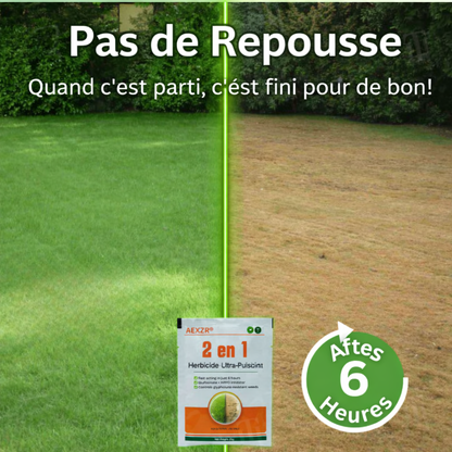 AEXZR® 2 in 1 Herbicide Ultra-Puissant🔥 Votre jardin mérite mieux qu’une attente de 2 mois