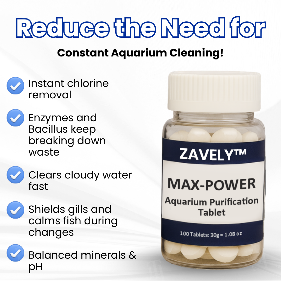 ZAVELY™ Tablette Purificatrice Max-Power pour Aquarium