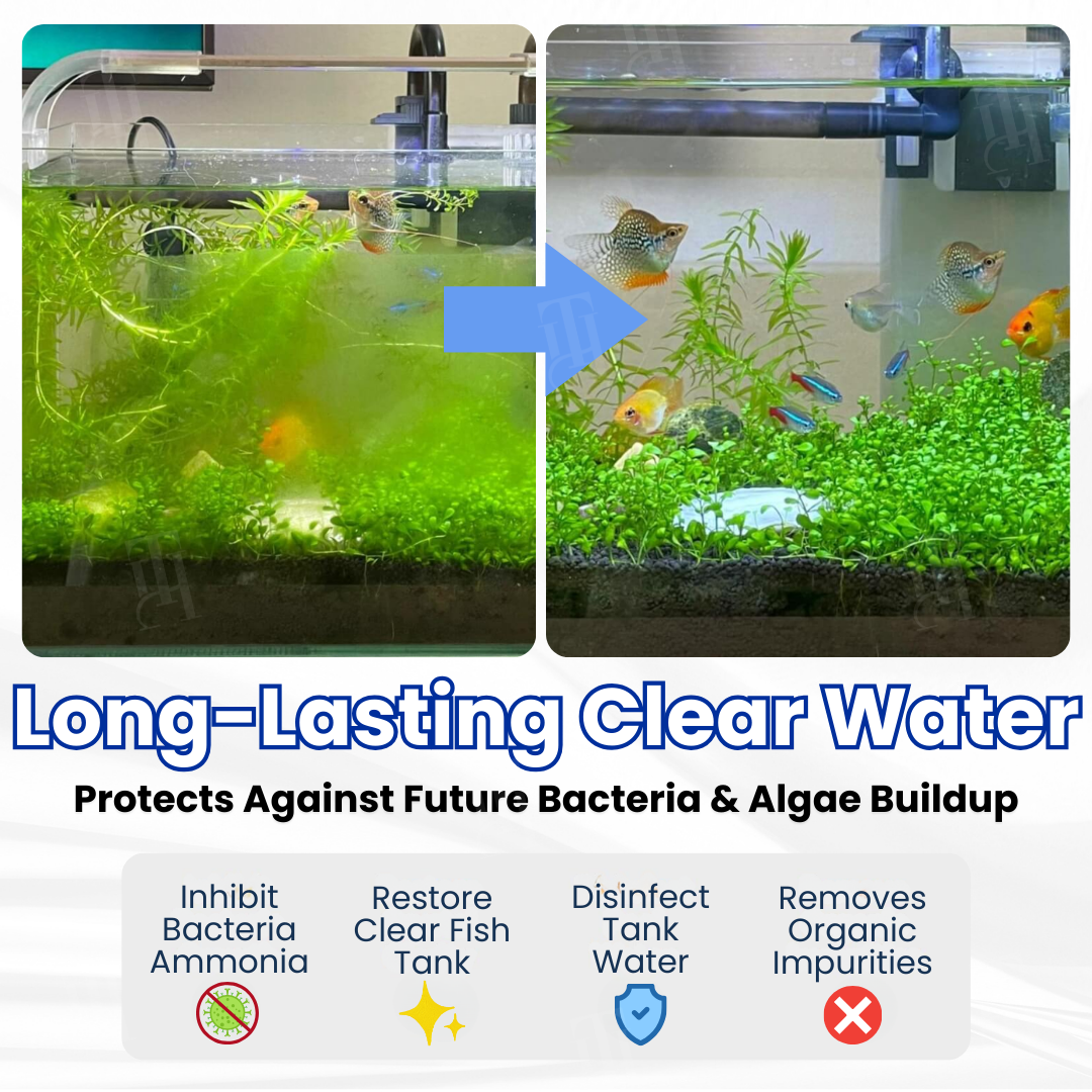 ZAVELY™ Tablette Purificatrice Max-Power pour Aquarium
