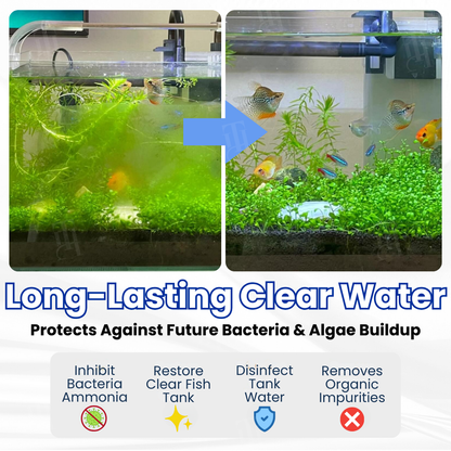 ZAVELY™ Tablette Purificatrice Max-Power pour Aquarium