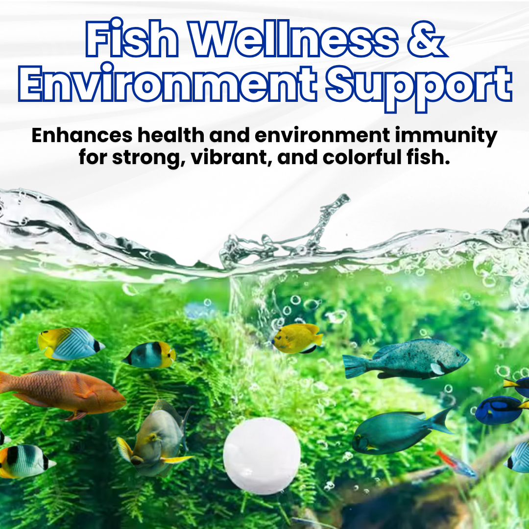 ZAVELY™ Tablette Purificatrice Max-Power pour Aquarium
