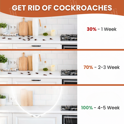 AEXZR® RoachBane Gel Bait🛡️🛡️ – La défense silencieuse et continue de votre maison contre les envahisseurs, 24h/24