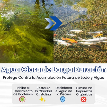 AEXZR® Aqua-Guardian Fórmula Pro🐟 ✨¡Del Verde al Cristalino en una Noche!⏱️