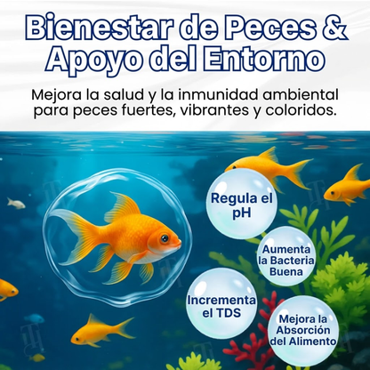 AEXZR® Aqua-Guardian Fórmula Pro🐟 ✨¡Del Verde al Cristalino en una Noche!⏱️