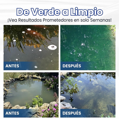 AEXZR® Aqua-Guardian Fórmula Pro🐟 ✨¡Del Verde al Cristalino en una Noche!⏱️
